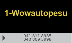 1-Wowautopesu logo